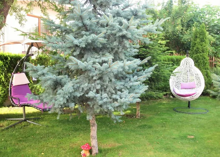 Fantasy アパート