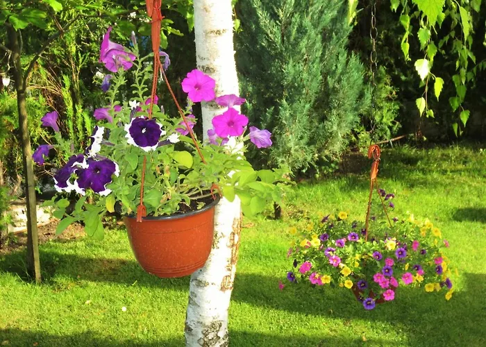 Fantasy Appartamento